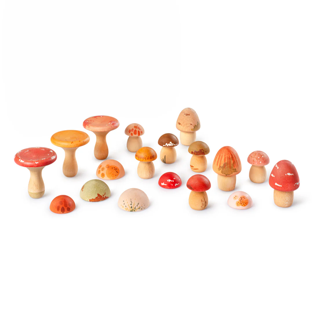Miniatuur 1