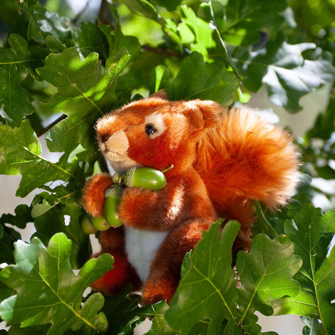 Miniatuur 2